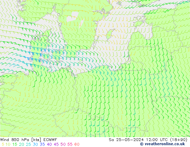 Vent 850 hPa ECMWF sam 25.05.2024 12 UTC