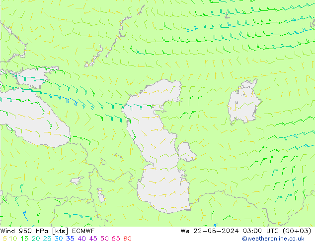 Wind 950 hPa ECMWF wo 22.05.2024 03 UTC
