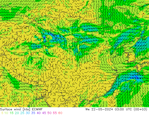 风 10 米 ECMWF 星期三 22.05.2024 03 UTC