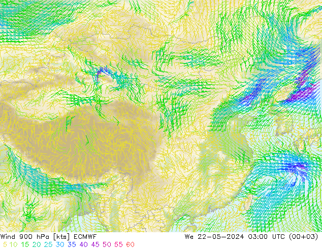 风 900 hPa ECMWF 星期三 22.05.2024 03 UTC