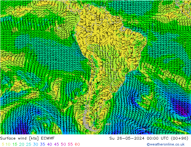 Surface wind ECMWF Ne 26.05.2024 00 UTC
