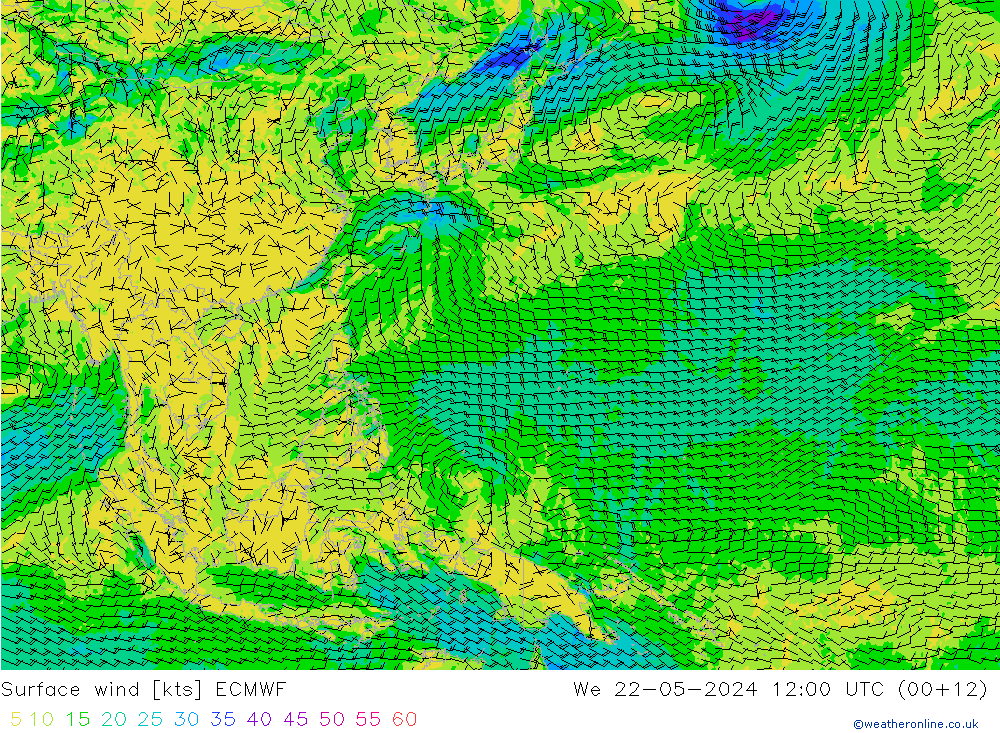 ветер 10 m ECMWF ср 22.05.2024 12 UTC