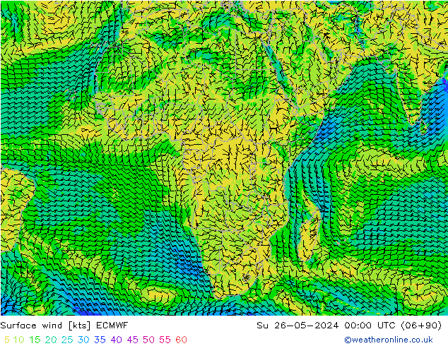 Surface wind ECMWF Ne 26.05.2024 00 UTC