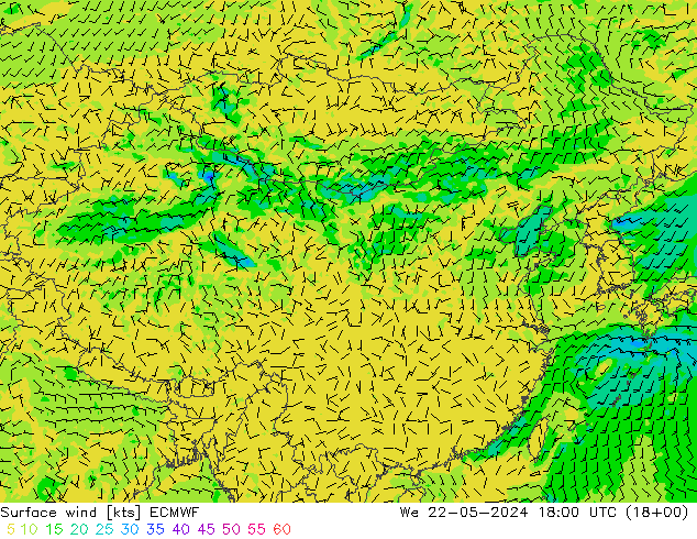 风 10 米 ECMWF 星期三 22.05.2024 18 UTC