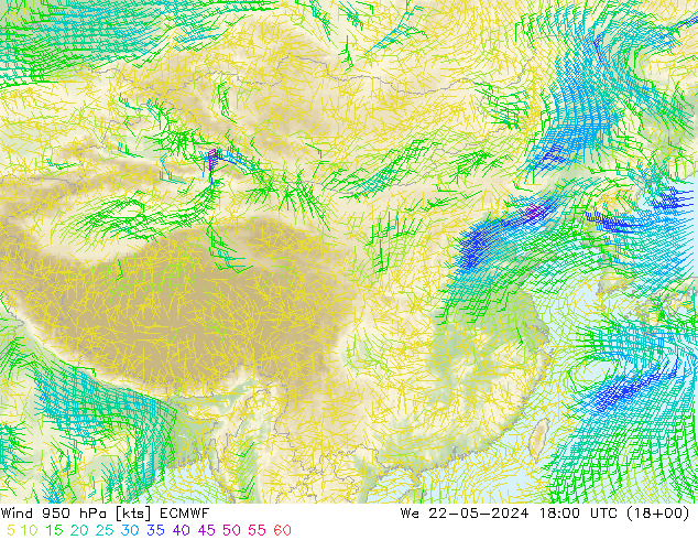 风 950 hPa ECMWF 星期三 22.05.2024 18 UTC
