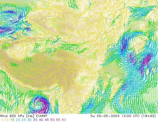 风 950 hPa ECMWF 星期日 26.05.2024 12 UTC