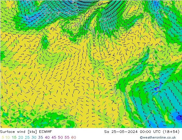 ветер 10 m ECMWF сб 25.05.2024 00 UTC