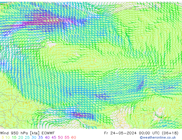 Vento 950 hPa ECMWF ven 24.05.2024 00 UTC