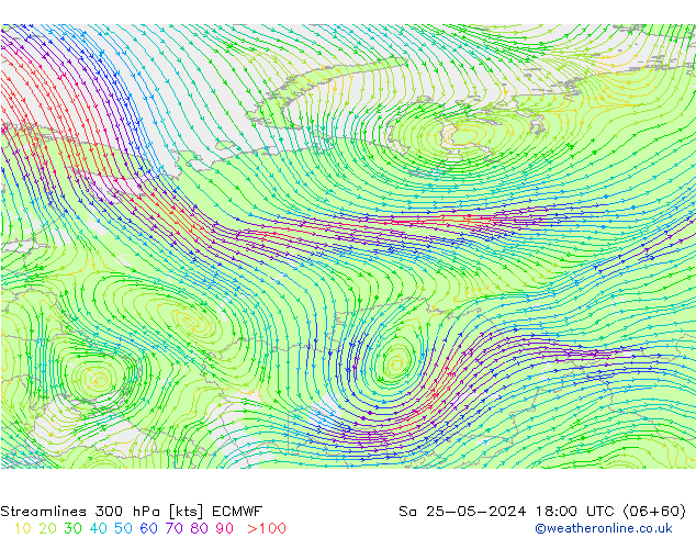 Linea di flusso 300 hPa ECMWF sab 25.05.2024 18 UTC