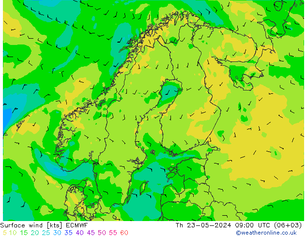 风 10 米 ECMWF 星期四 23.05.2024 09 UTC