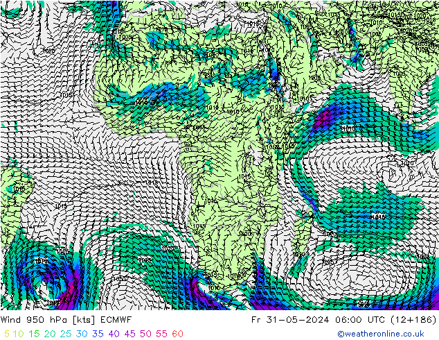 Wind 950 hPa ECMWF Fr 31.05.2024 06 UTC