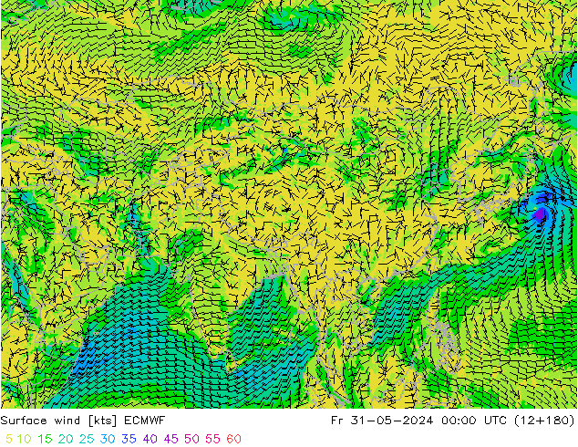  10 m ECMWF  31.05.2024 00 UTC