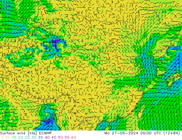 风 10 米 ECMWF 星期一 27.05.2024 00 UTC