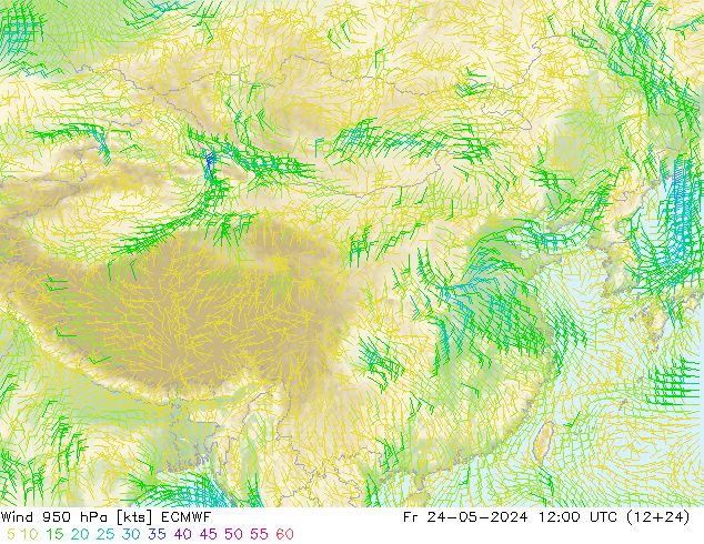 风 950 hPa ECMWF 星期五 24.05.2024 12 UTC
