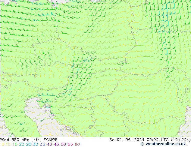 Wind 850 hPa ECMWF So 01.06.2024 00 UTC