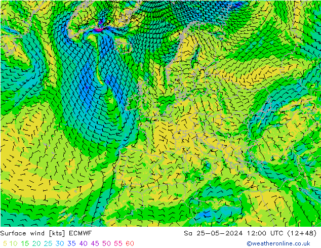 风 10 米 ECMWF 星期六 25.05.2024 12 UTC