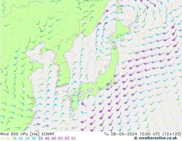  950 hPa ECMWF  28.05.2024 12 UTC