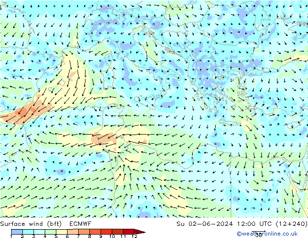 Viento 10 m (bft) ECMWF dom 02.06.2024 12 UTC