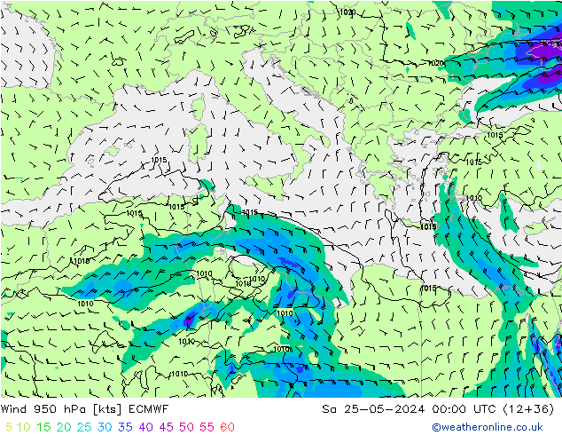 Wind 950 hPa ECMWF Sa 25.05.2024 00 UTC