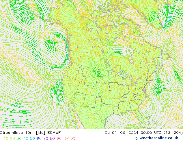 Streamlines 10m ECMWF So 01.06.2024 00 UTC