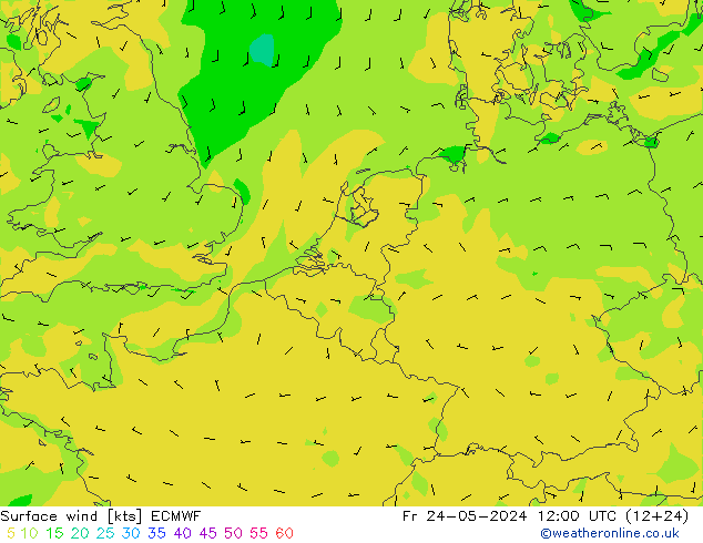 Surface wind ECMWF Fr 24.05.2024 12 UTC