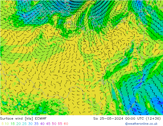 Wind 10 m ECMWF za 25.05.2024 00 UTC