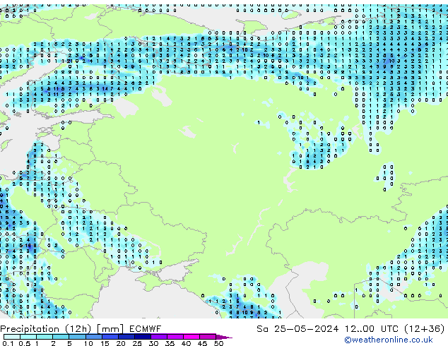 Precipitazione (12h) ECMWF sab 25.05.2024 00 UTC