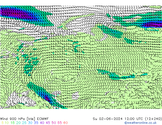 Wind 900 hPa ECMWF Ne 02.06.2024 12 UTC