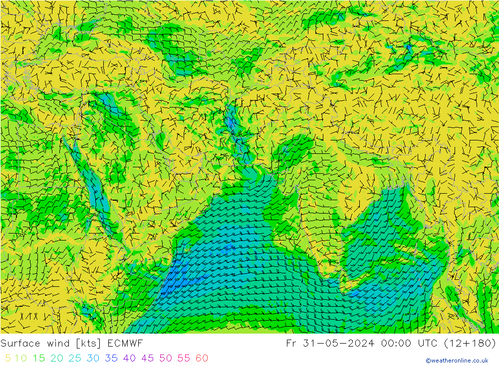  10 m ECMWF  31.05.2024 00 UTC