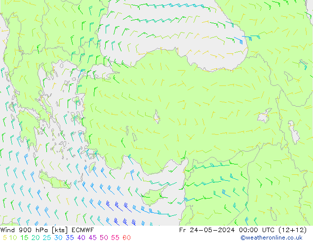 Vento 900 hPa ECMWF ven 24.05.2024 00 UTC