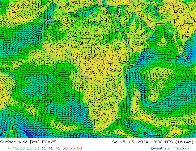 Surface wind ECMWF So 25.05.2024 18 UTC