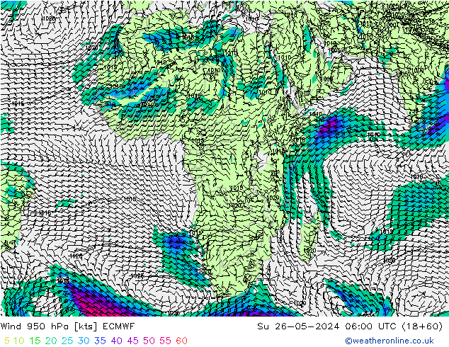 Vento 950 hPa ECMWF Dom 26.05.2024 06 UTC