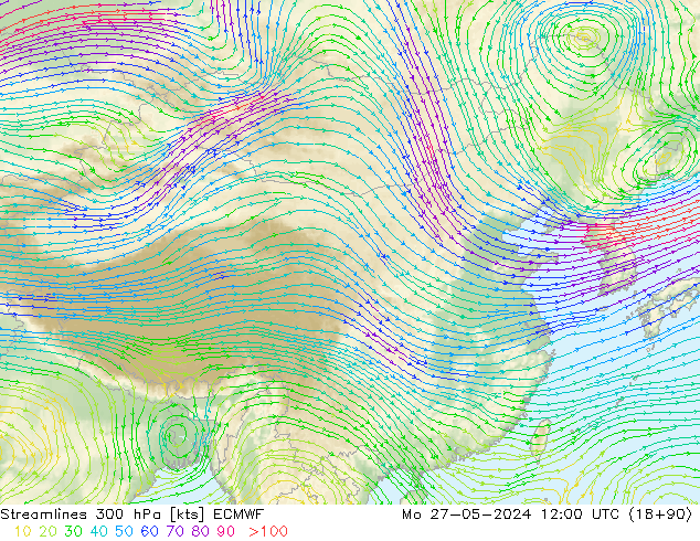 风 300 hPa ECMWF 星期一 27.05.2024 12 UTC