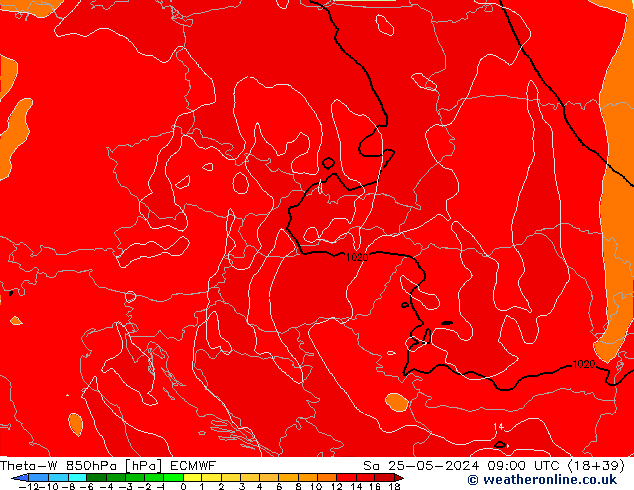 Theta-W 850гПа ECMWF сб 25.05.2024 09 UTC