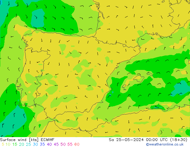 Bodenwind ECMWF Sa 25.05.2024 00 UTC