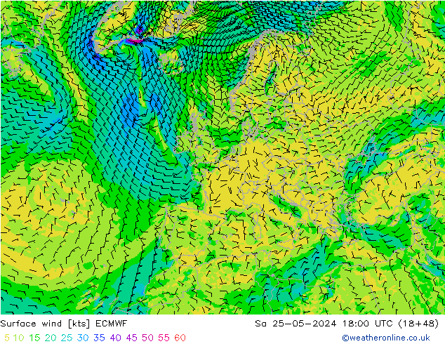 Wind 10 m ECMWF za 25.05.2024 18 UTC