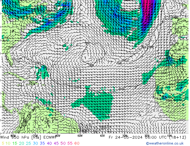 Vento 950 hPa ECMWF ven 24.05.2024 06 UTC