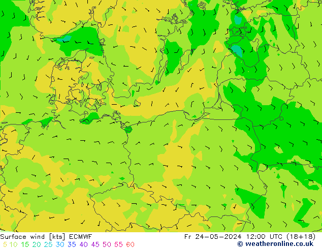 Wind 10 m ECMWF vr 24.05.2024 12 UTC