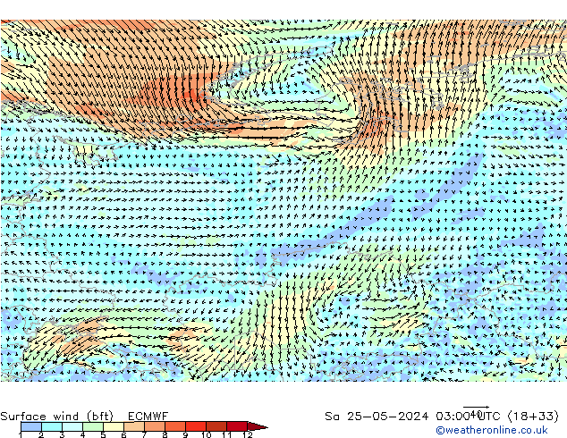 Surface wind (bft) ECMWF So 25.05.2024 03 UTC