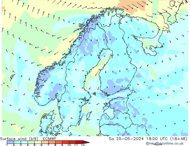 Surface wind (bft) ECMWF Sa 25.05.2024 18 UTC