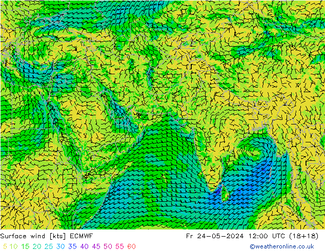 Wind 10 m ECMWF vr 24.05.2024 12 UTC