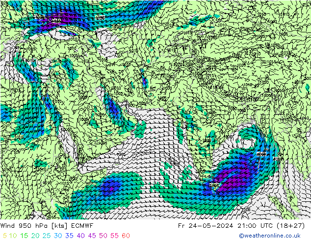 Rüzgar 950 hPa ECMWF Cu 24.05.2024 21 UTC