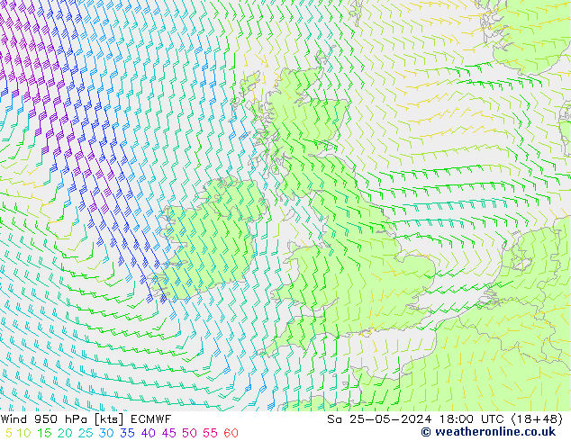 Rüzgar 950 hPa ECMWF Cts 25.05.2024 18 UTC