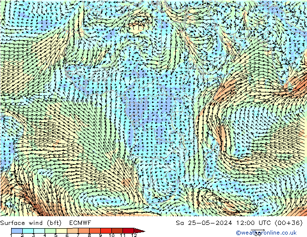 Surface wind (bft) ECMWF So 25.05.2024 12 UTC