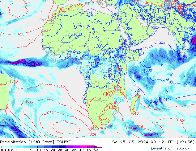 Precipitation (12h) ECMWF So 25.05.2024 12 UTC