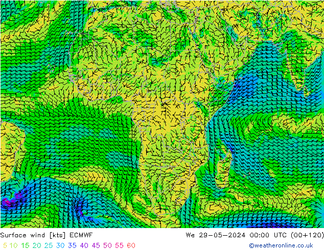 Surface wind ECMWF St 29.05.2024 00 UTC