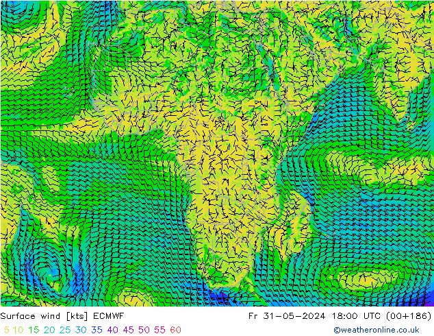 Surface wind ECMWF Fr 31.05.2024 18 UTC