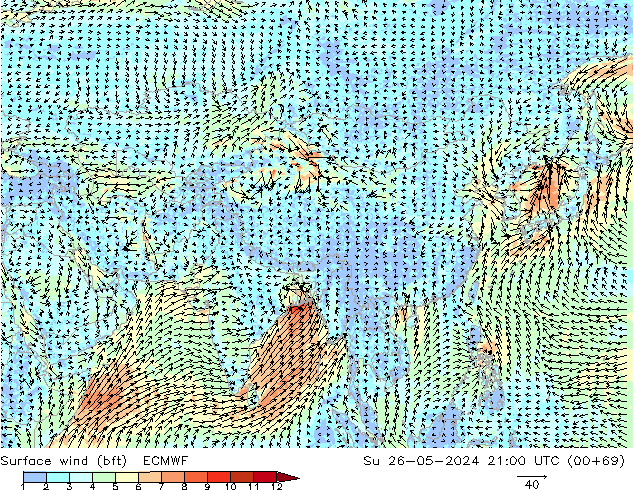 Surface wind (bft) ECMWF Ne 26.05.2024 21 UTC