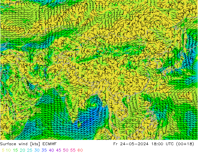 Vento 10 m ECMWF ven 24.05.2024 18 UTC