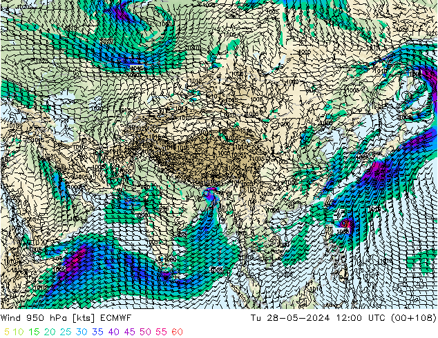 ветер 950 гПа ECMWF вт 28.05.2024 12 UTC